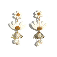 Daisy Blossom